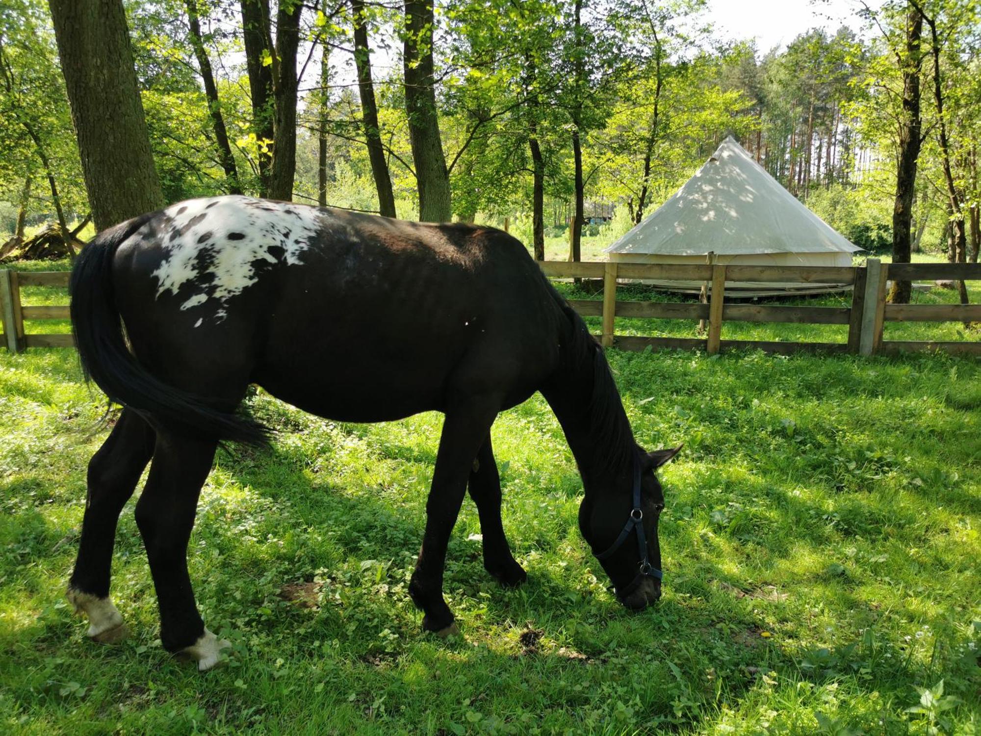 Hotel Glamping Kaliska Łochów Zewnętrze zdjęcie